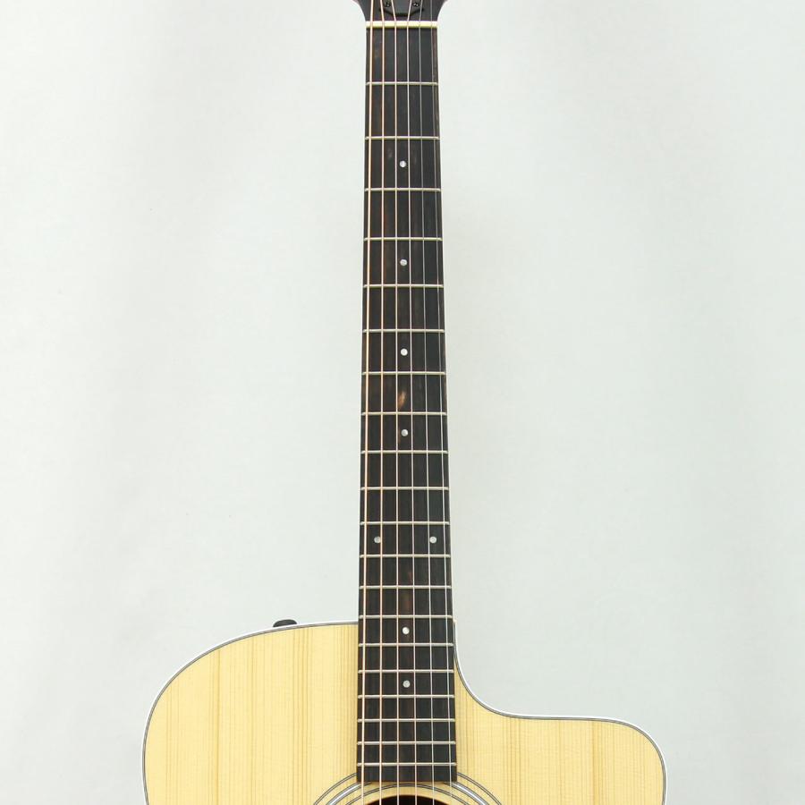 Taylor(テイラー) 210ce Rosewood 特価品 アコースティックギター