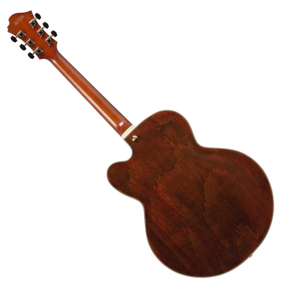Ibanez（アイバニーズ） PM3C NAL パットメセニー フルアコギター