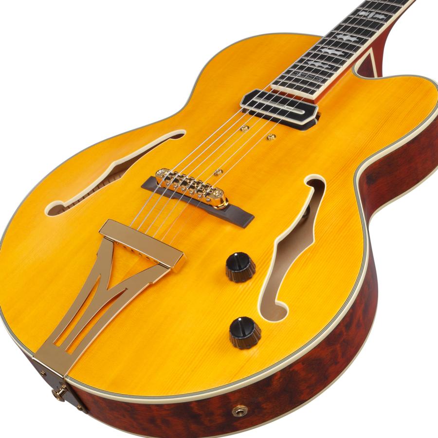 Ibanez（アイバニーズ） PM3C NAL パットメセニー フルアコギター