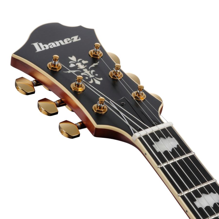Ibanez（アイバニーズ） PM3C NAL パットメセニー フルアコギター