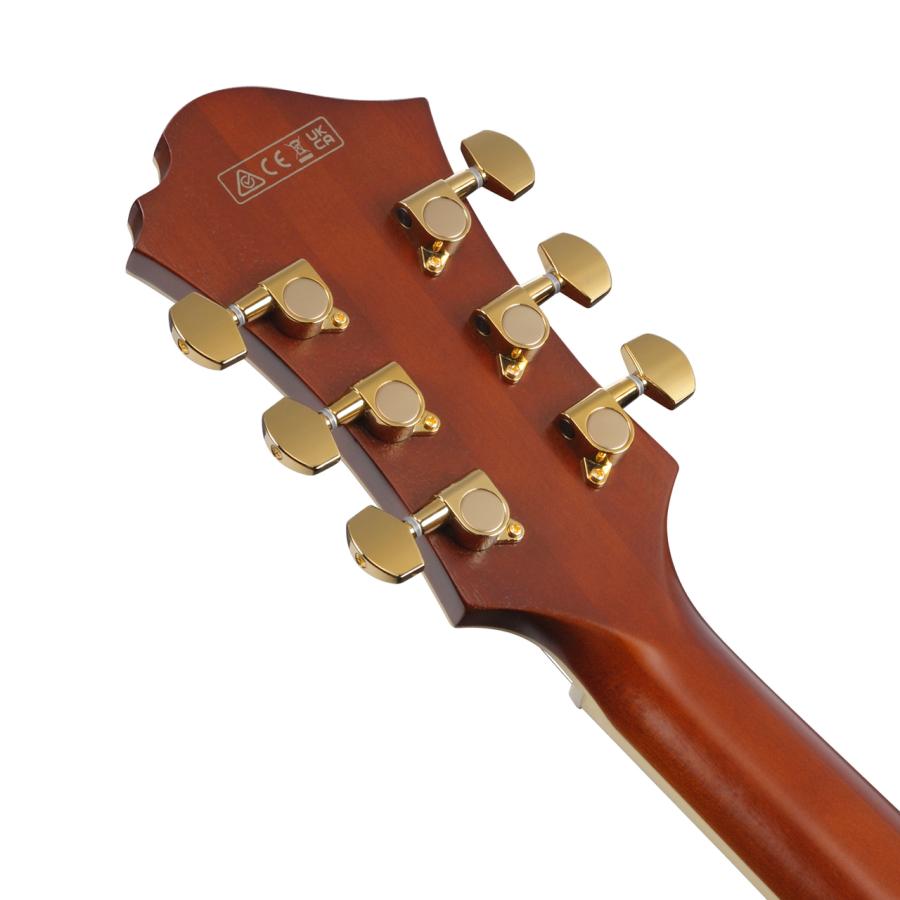 Ibanez（アイバニーズ） PM3C NAL パットメセニー フルアコギター