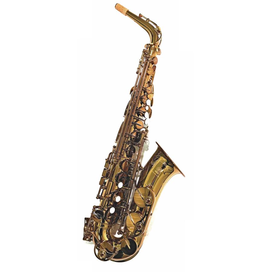 YAMAHA(ヤマハ) 5年保証サポート対象 YAS-62A アルトサックス アンバーラッカー 管楽器 Alto saxophone Amber lacquer セットB　北海道 沖縄 離島 代引き不可_3
