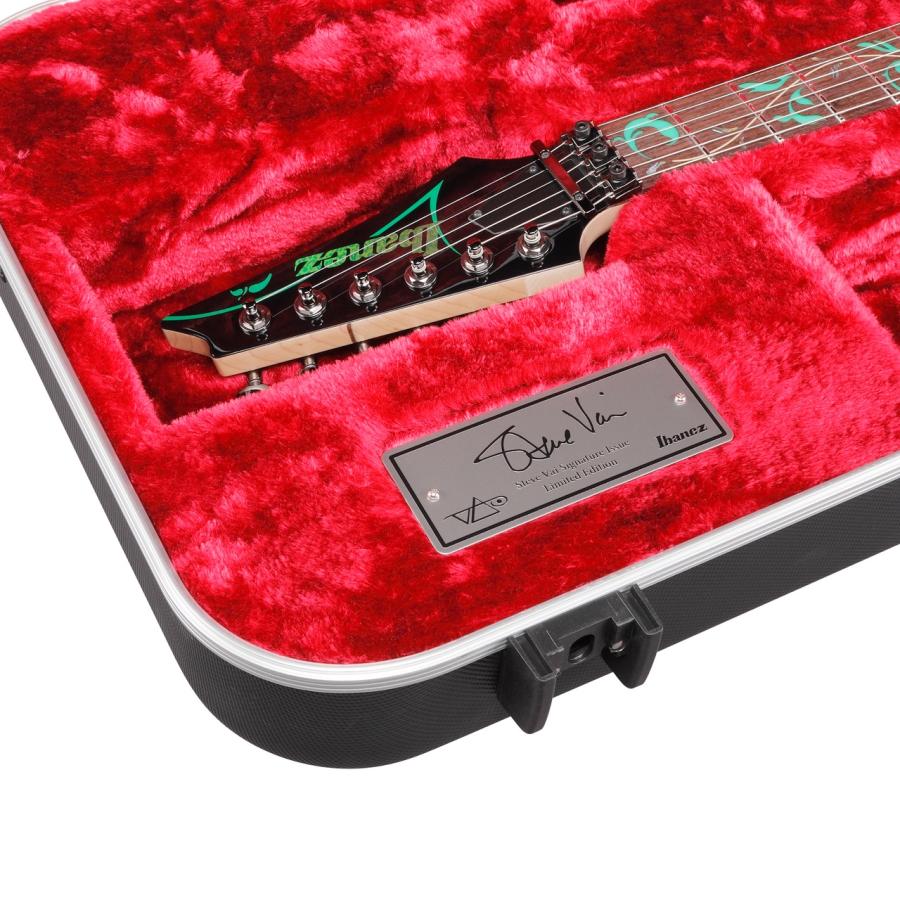 Ibanez（アイバニーズ） PIA77 BON “Paradise in Art” Steve Vai