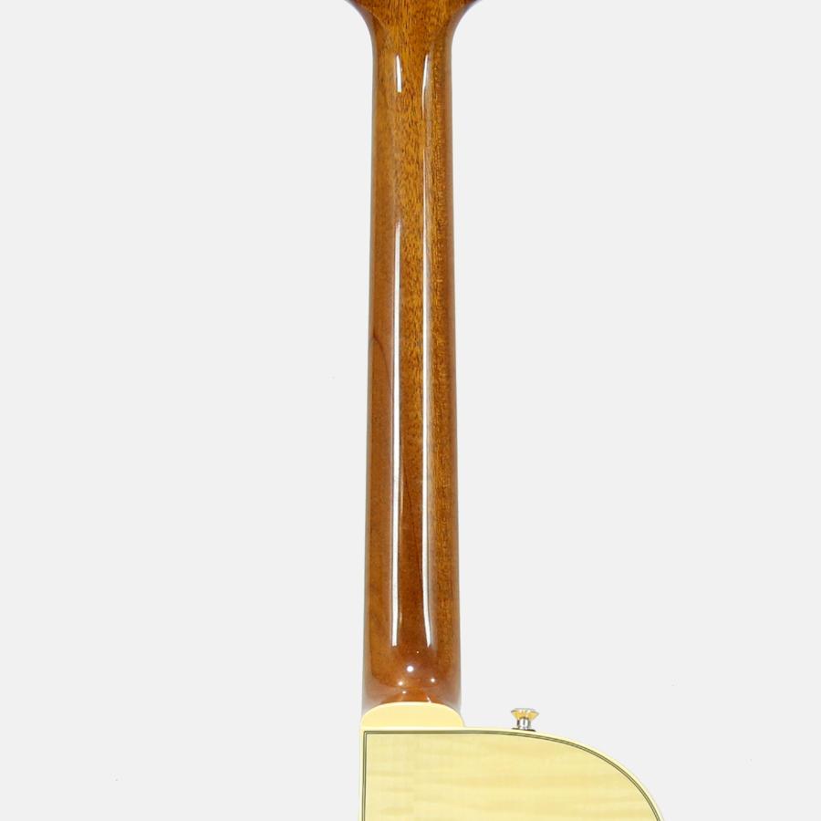 Sadowsky Semi Hollow Model Vintage Amber 国産 セミホロウ