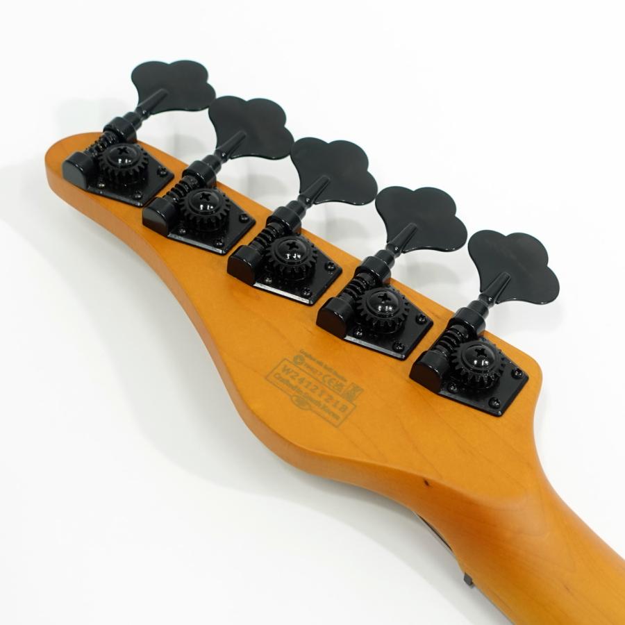 SCHECTER(シェクター) MODEL-T SESSION 5 ANS 5弦ベース AD-MT-SS-5