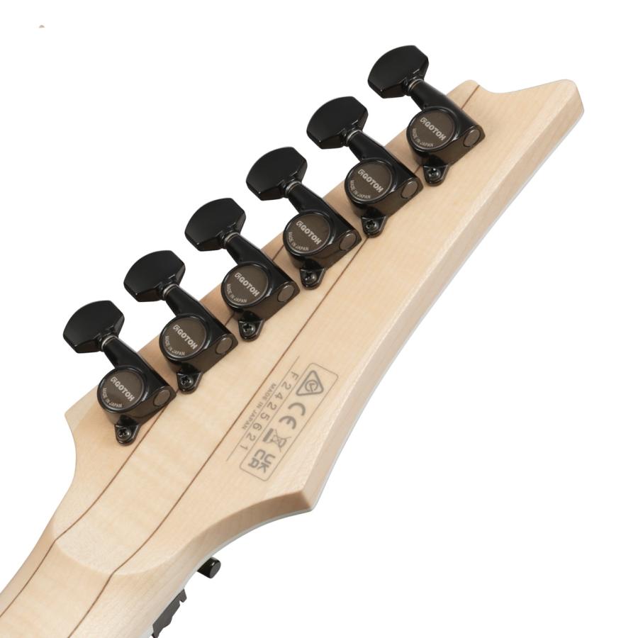 Ibanez（アイバニーズ） RG565R DY 限定 国産 エレキギター RG Desert