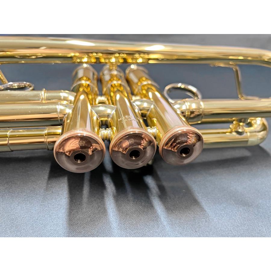 YAMAHA（ヤマハ） YAMAHA 5年保証対象 YTR-8330EM エリック ミヤシロ