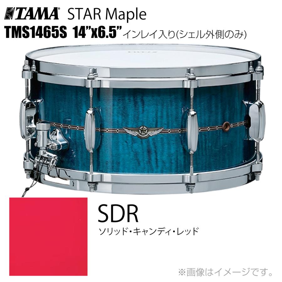 TAMA TAMA(タマ) STAR Maple TMS1465S SDR インレイ入り（シェル外側 
