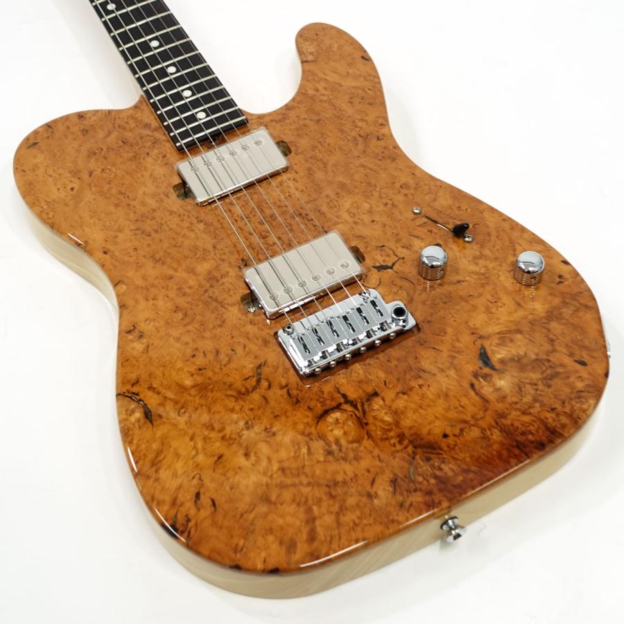 Provision(プロビジョンギター) PTEN-WGO 002 Bar/LA NTL 国産