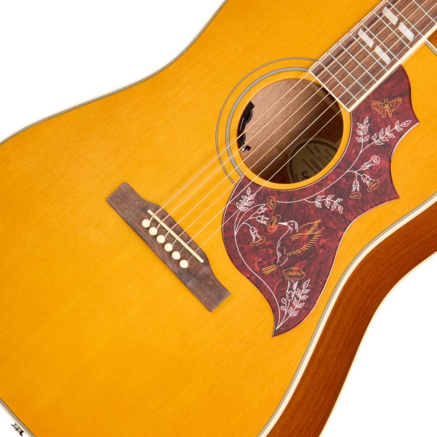 Epiphone（エピフォン） Hummingbird Studio Antique Natural ハミング