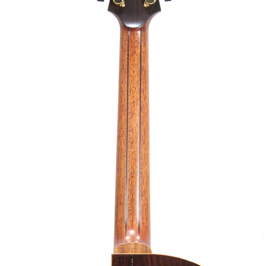 Starsun(スターサン) R60 \"AAA Swiss Moon Spruce  AAA Indian Rosewood  アコースティックギターの画像