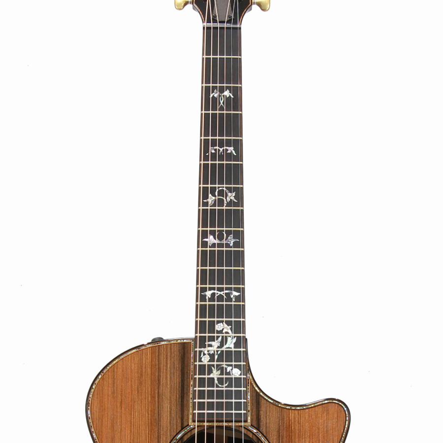 Taylor(テイラー) 914ce Special Edition 