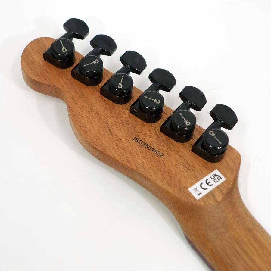Charvel(シャーベル) Standard Series San Dimas Style-2 SD2 HH HT