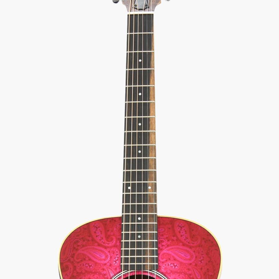 Taylor(テイラー) GS Mini-e Special Edition Fuchsia Pink Paisley