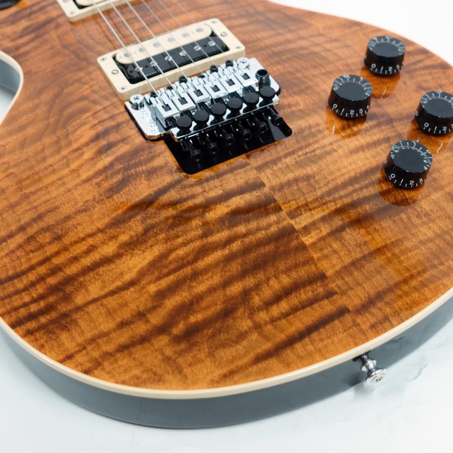 Gibson（ギブソン） Gibson Custom Shop Les Paul Axcess Standard