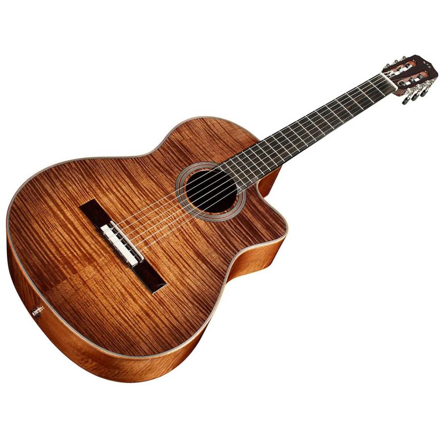 Cordoba FUSION 12 Cinnamon Burst 特価品 エレガット クラシック
