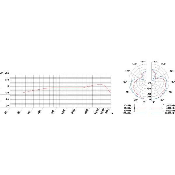 AKG AKG(エーケージー) C519M ◇ コンデンサーマイク : ワタナベ楽器