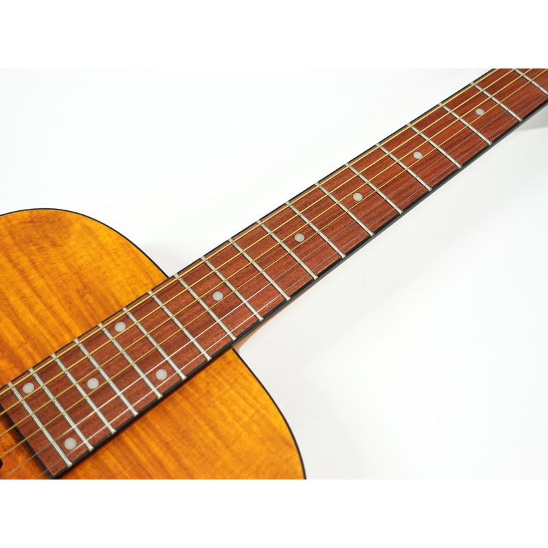 Epiphone Epiphone(エピフォン) Dobro Hound Dog Deluxe Round Epiphone Epiphone(エピフォン) Dobro Hound Dog Deluxe Round