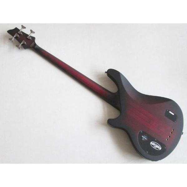 SCHECTER(シェクター) HELLRAISER EXTREME 4 CRBS （エレキベース
