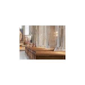 BOSE（ボーズ） MA12 B/ブラック (1本) ◇ ラインアレイスピーカー【12