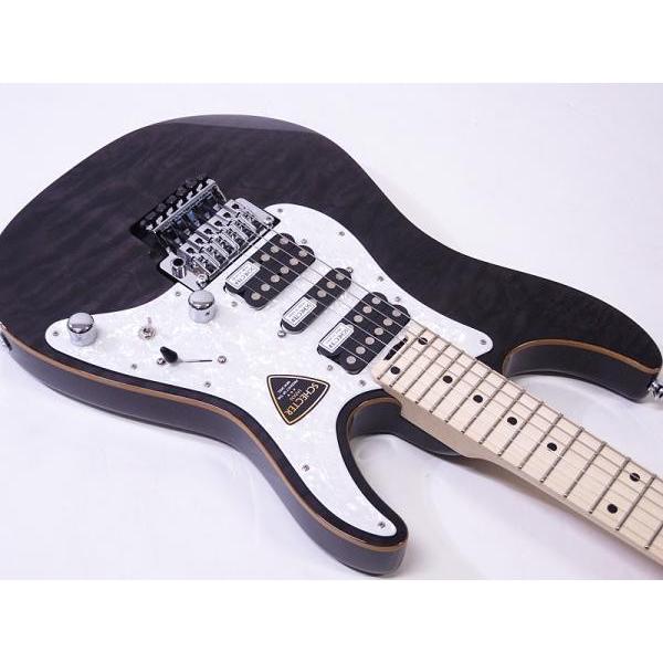 SCHECTER(シェクター) SD-2-24-AL See-Thru Black /M 国産 エレキ