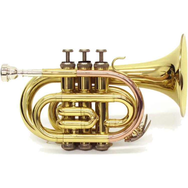 J Michael(Jマイケル) 3年保証 TR-350PL ポケットトランペット 新品 