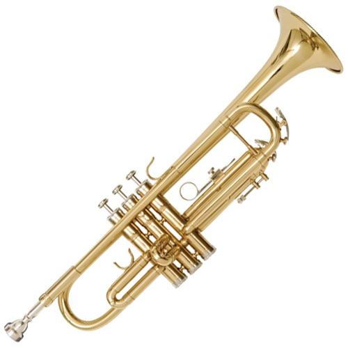 Kaerntner KTR-30 Gold トランペット ラッカー ゴールド 管楽器 B