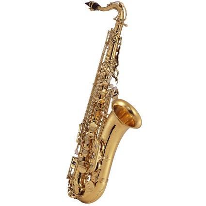美品　J.MICHAEL マイケル テナーサックス TN-900 マウスピース 美品 J.MICHAEL マイケル テナーサックス TN-900 マウスピース