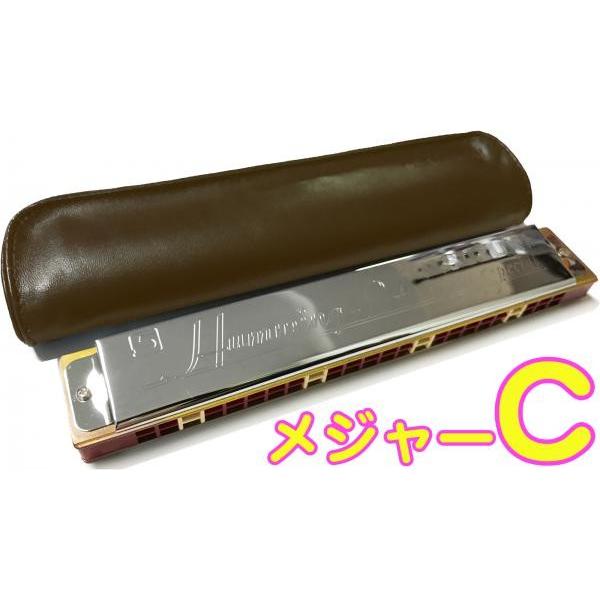 SUZUKI(スズキ) Humming-24 C調 24穴 複音ハーモニカ 高級スズキ ハミング 樹脂ボディ 楽器 長調 C major Tremolo harmonica Humming 24 Cメジャー