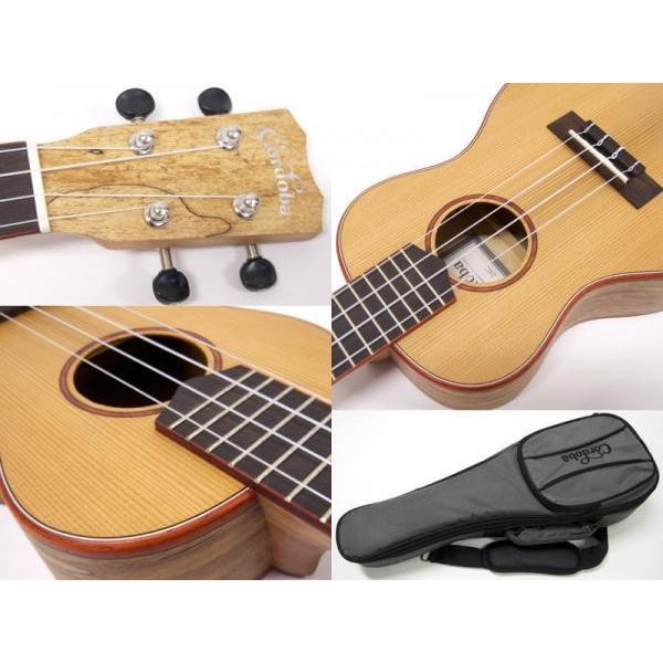Cordoba 24C【 コンサート ウクレレ コルドバ 】 : ワタナベ楽器ヤフー