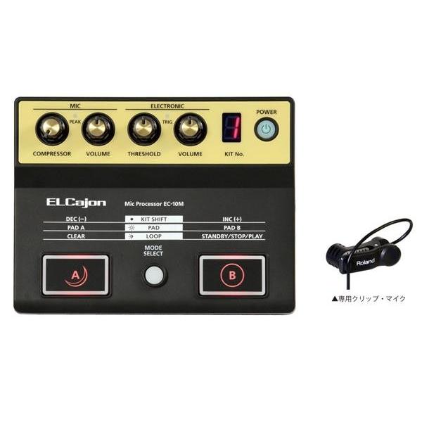 Roland(ローランド) EC-10M カホン用マイクプロセッサー