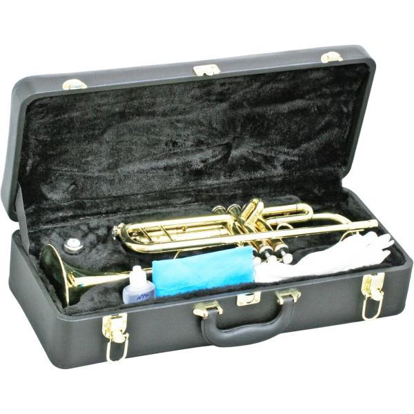 MAXTONE マックストーン TT-104 ハードケース ミュート Maxtone