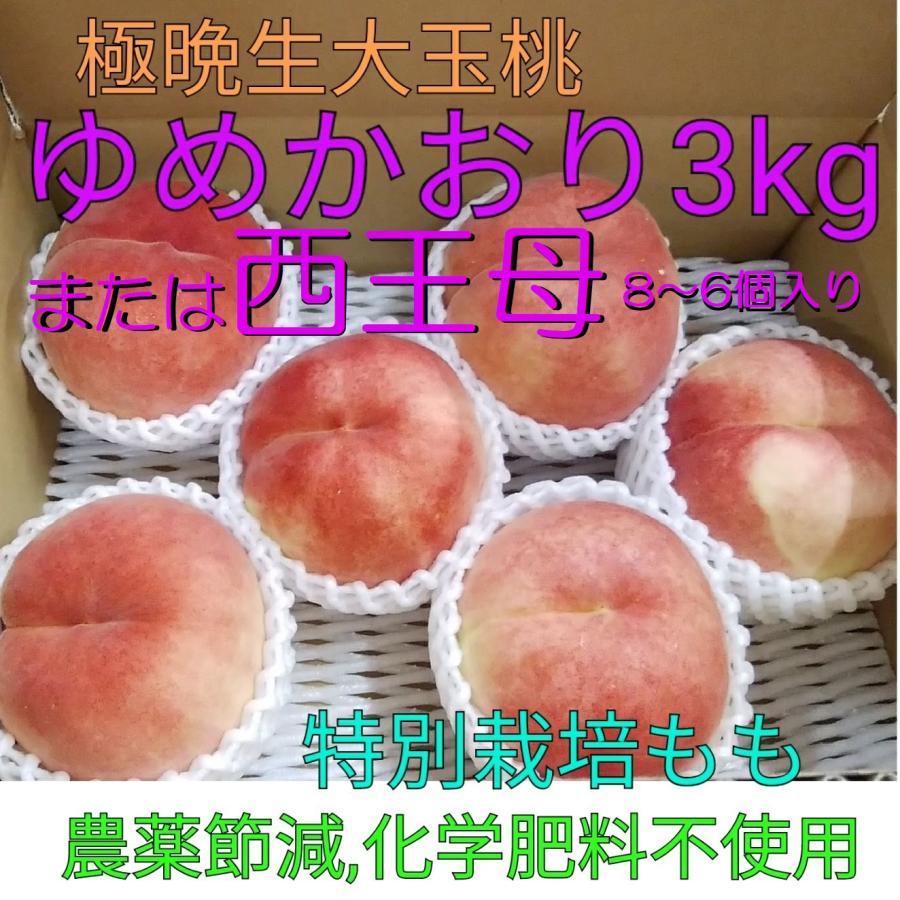 極晩生桃「西王母」または「ゆめかおり」3kg特大玉9月下旬