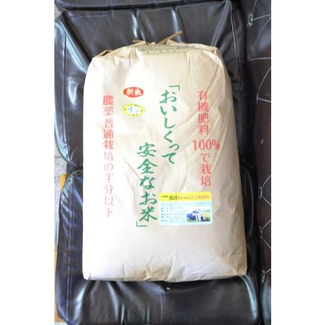 千葉県産ひとめぼれ30kg ひとめぼれ エコEMひとめぼれ玄米30kg令和6年千葉県産 : 渡辺