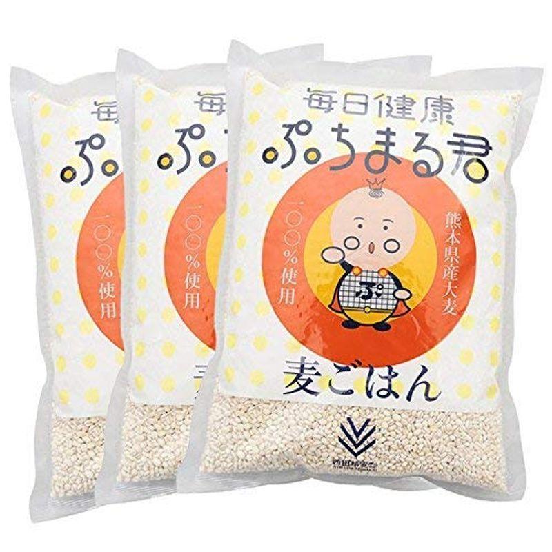 3袋セット西田精麦 毎日健康 ぷちまる君 熊本県産 大麦 ×3袋 全ての 3袋セット西田精麦 毎日健康 ぷちまる君 熊本県産 大麦 ×3袋 全ての