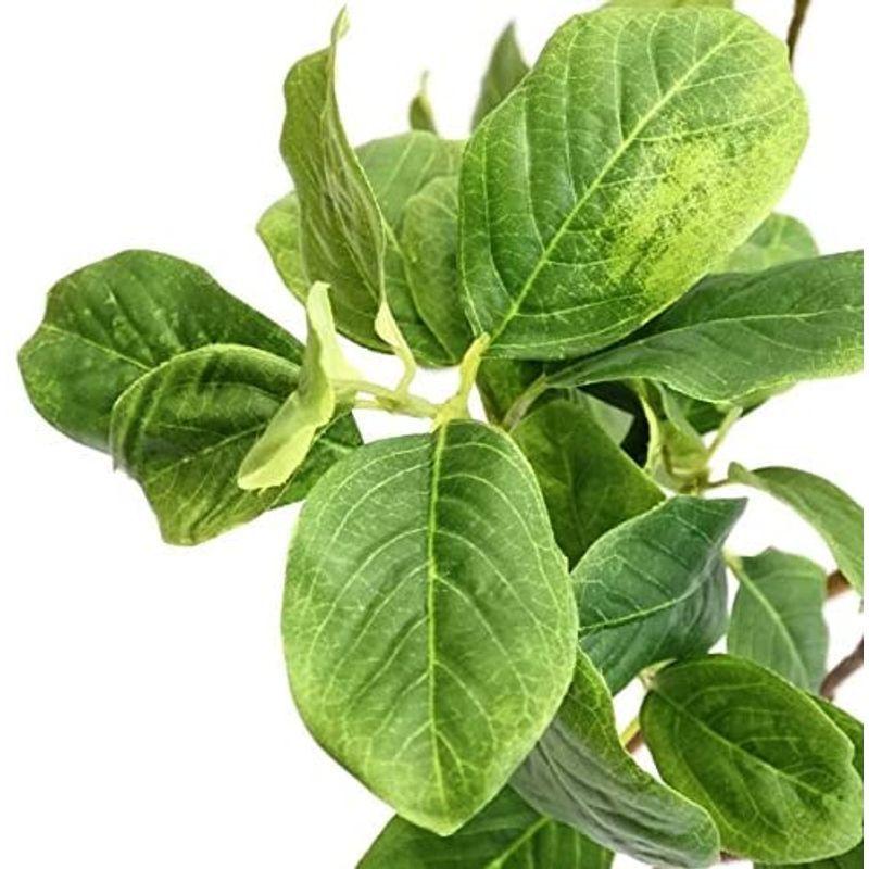 GREENPARK マグノリアリーフ ガラスシリンダー H35 白玉石 造花 フェイクグリーン マグノリアリーフ ガラスシリンダー H35 白玉石 造花 フェイクグリーン 　