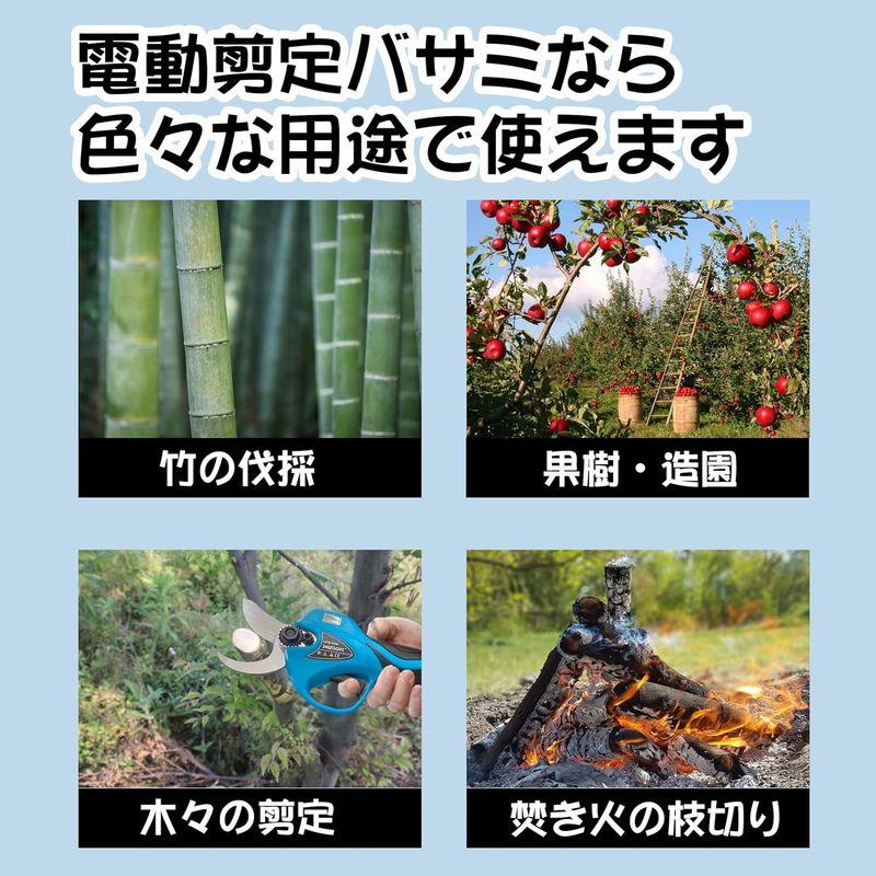 SWANSOFT 電動剪定バサミ 切断径35MM 充電式剪定鋏 トリガー連動機能付き 16.8V/4Aリチウム電池搭載 果樹剪定用 PSE認 電動剪定バサミ 切断径35MM 充電式剪定鋏 トリガー連動機能付き 8V/4Aリチウム電池搭載 果樹剪定用 PSE認 また