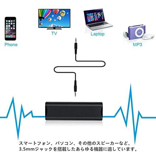 LIKENNY グランドループアイソレーター ノイズフィルタノイズ除去 ホームオーディオ、カーステレオシステムで使用可能 ノイズフィルタ3.5mm対応 ブラ｜watari-store｜04