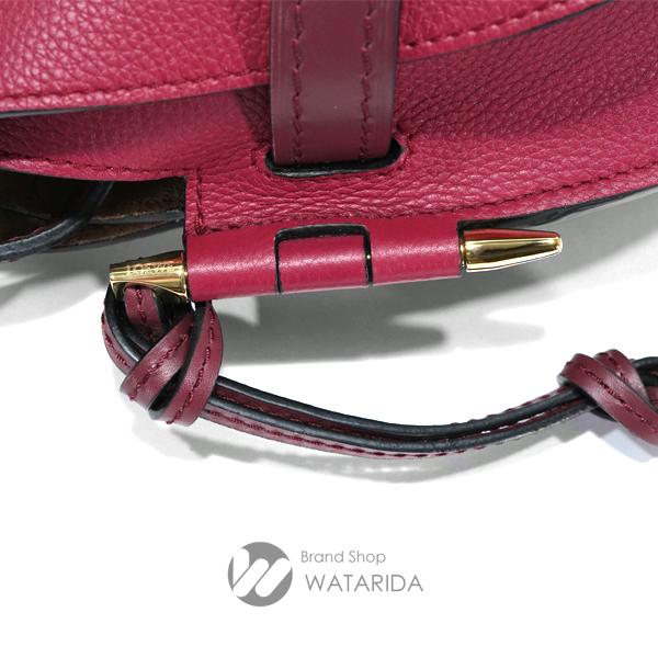 LOEWE ロエベ ゲートバッグ 保存袋付き ラズベリー LOEWE ロエベ ゲートバッグ 保存袋付き ラズベリー