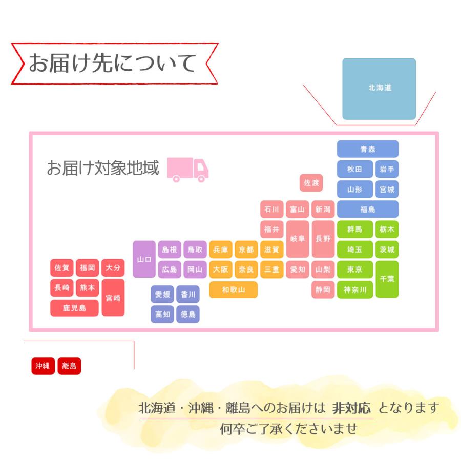 50個セット プチギフト 金平糖 退職 結婚式 和 お菓子 個包装 お礼 こんぺいとう ギフト おしゃれ ばらまき 大量 金平糖  送料無料_7