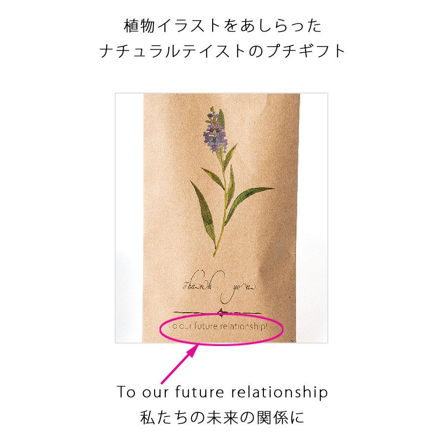 50個セット プチギフト 金平糖 退職 結婚式 和 お菓子 個包装 お礼 こんぺいとう ギフト おしゃれ ばらまき 大量 金平糖  送料無料_2