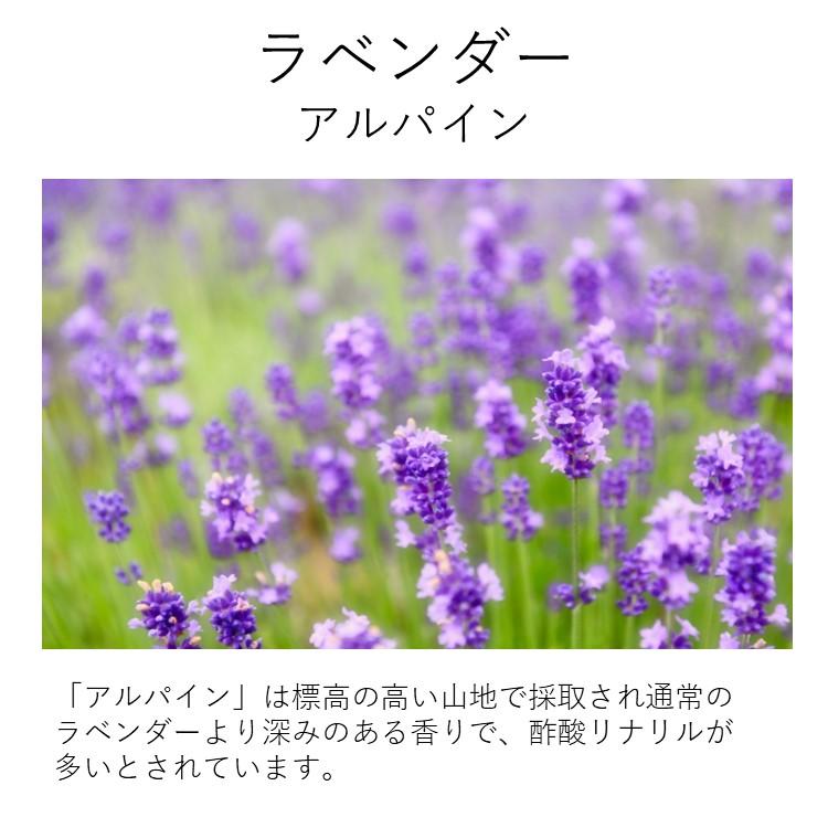 ローズゼラニウム 真正ラベンダー アルパイン ラベンダー・アルパイン 10ml (真正ラベンダー) インセント