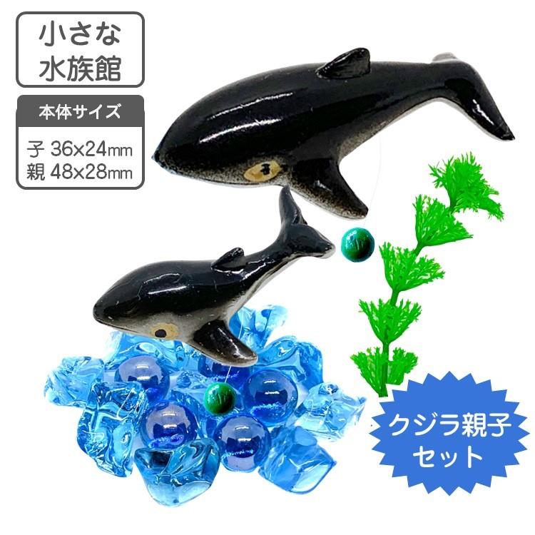 アクアリウム 水槽 飾り クジラの親子 セット 小さな水族館シリーズ