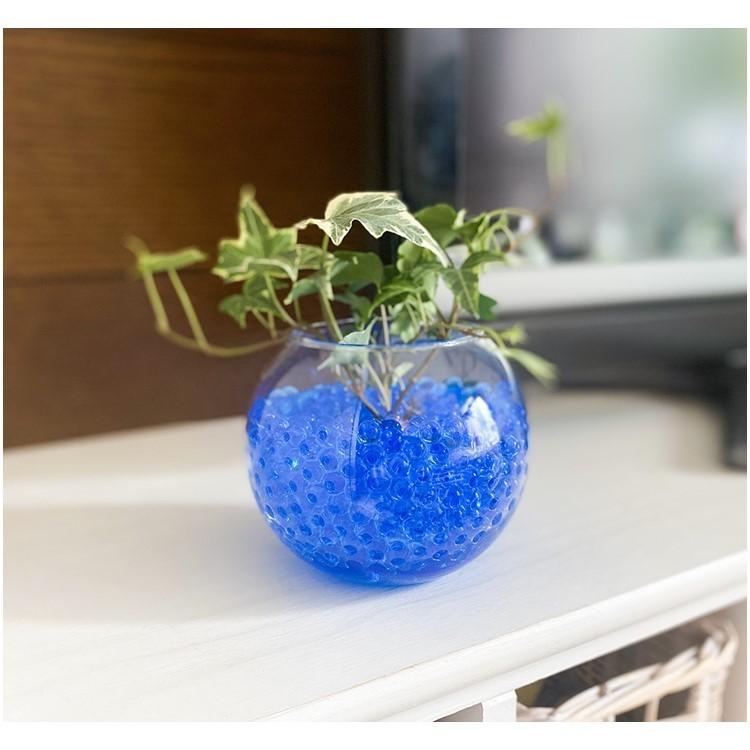 観葉植物 水耕栽培 水で膨れる 天使のビーズ 30gx5色セット（各色1袋