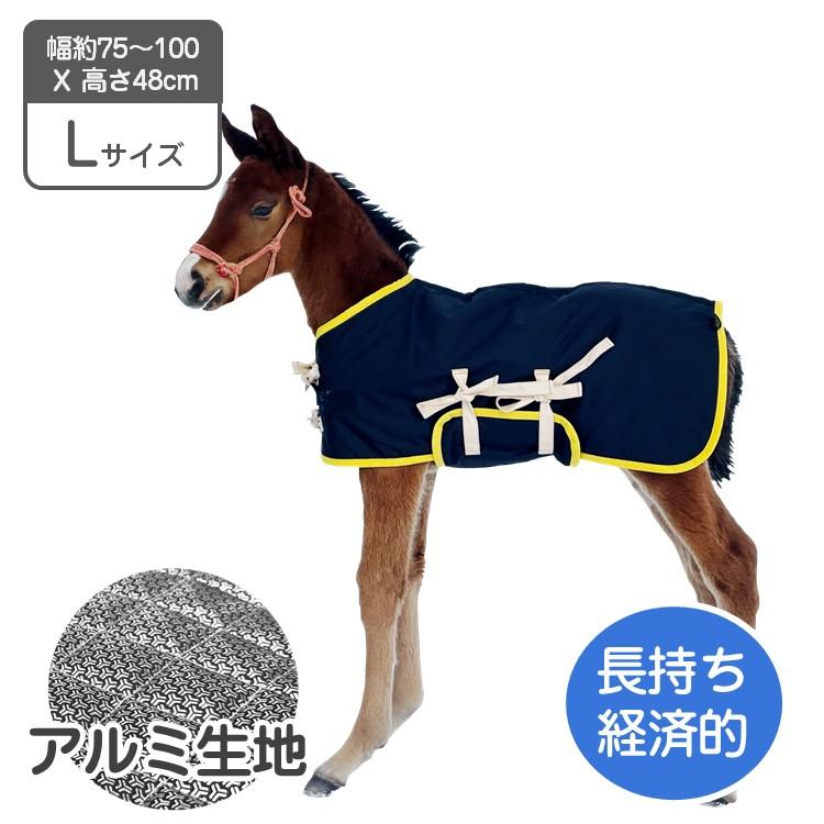 当歳 馬服 Lサイズ 腹当て付き 裏面アルミ キルティング 子馬 仔馬