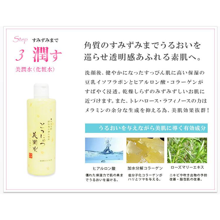 豆乳 化粧水 とうにゅう美潤水 300ml 3本セット 日本製 : グレードワン
