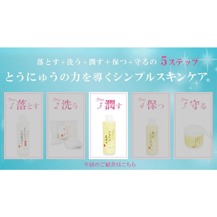 豆乳 化粧水 とうにゅう美潤水 300ml 6本セット 日本製 : グレードワン