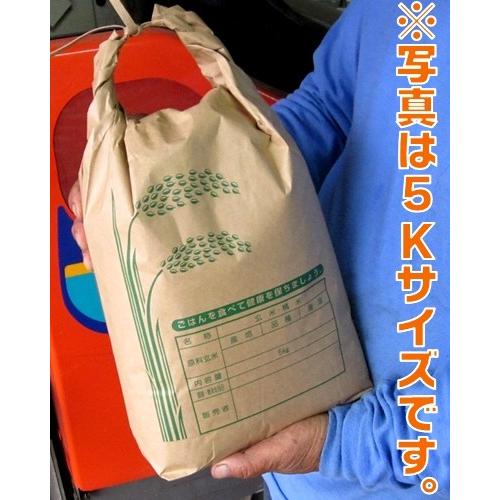 大分県産 ひのひかり 30kg 白米・玄米をご選択下さい 送料無料 大分県産 ひのひかり 30kg 白米・玄米をご選択下さい 送料無料