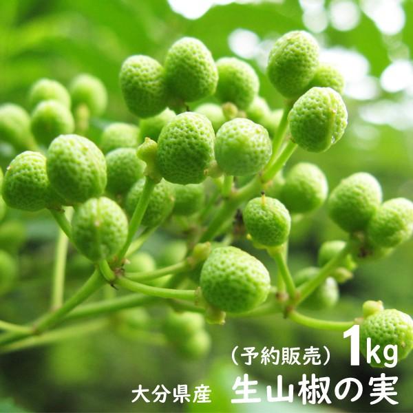 山椒の実 1キロ 送料無料 2020年度産 実山椒 青山椒 生山椒 さんしょう