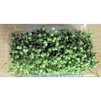 山椒の実 100ｇ 19年度産 実山椒 青山椒 生山椒 さんしょう Sansyou 2 ワタショク便 通販 Yahoo ショッピング